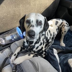 Meet your Posher, Jane Smith